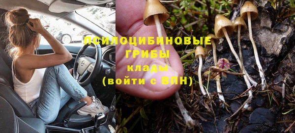 тгк Кинешма