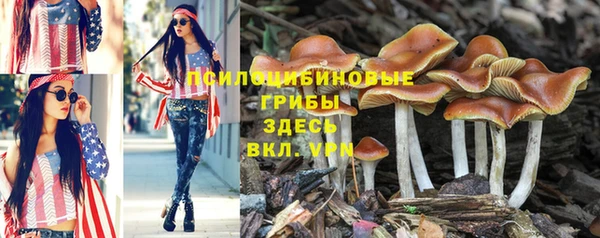 тгк Кинешма