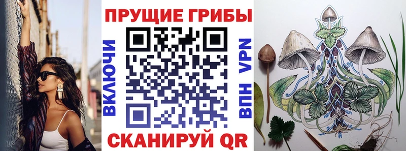 сайты даркнета как зайти  Медвежьегорск  Галлюциногенные грибы мицелий 